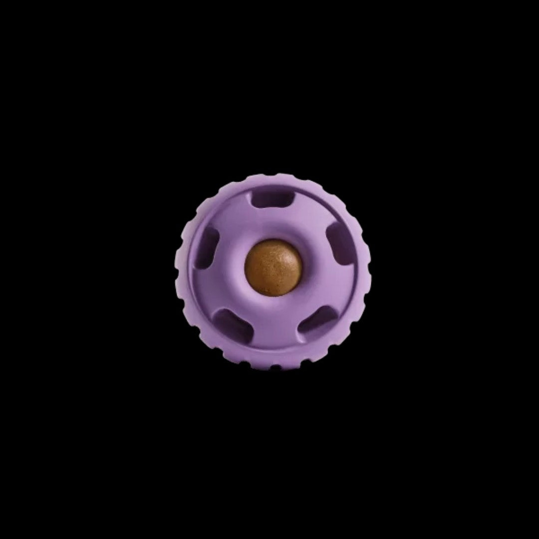 The Pupsicle – Interactive Treat Toy for Dogs