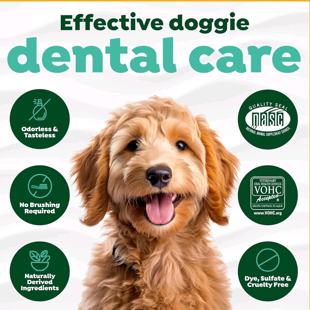 Dental Fresh Advanced Water Additive – 8.8oz Plaque & Tartar Remover for Dogs, Fresh Breath & Oral Health Support