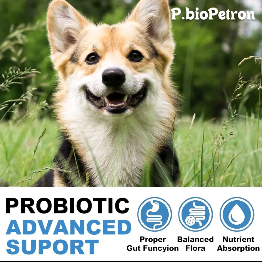 Probiotics for Dogs – Digestive & Immune Support Supplement for All Breeds