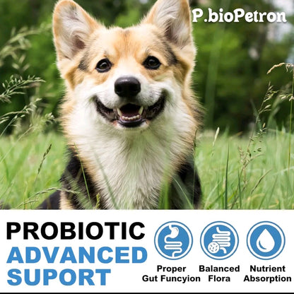 Probiotics for Dogs – Digestive & Immune Support Supplement for All Breeds