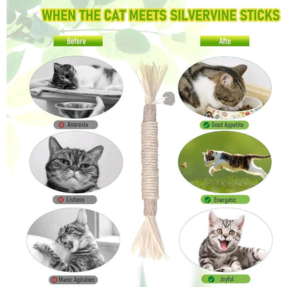 EVERBETTERUS Silvervine Catnip Chew Toys – 12PCS Dental Sticks for Indoor Cats & Kittens – Interactive Teething Toys for Aggressive Chewers