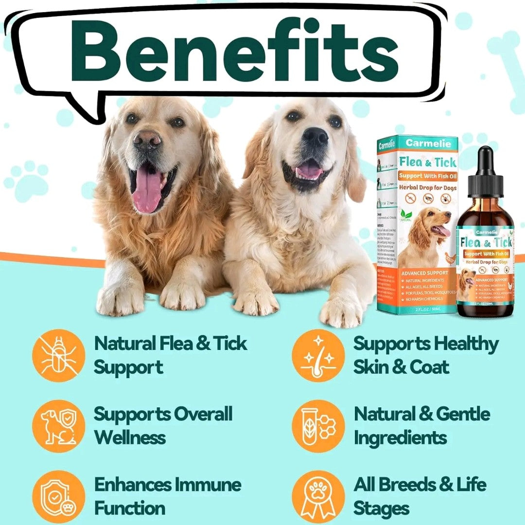Carmelie Cat Herbal Drops – Outdoor Wellness Support with Fish Oil & Vitamins, Chicken-Flavored Liquid for All Ages