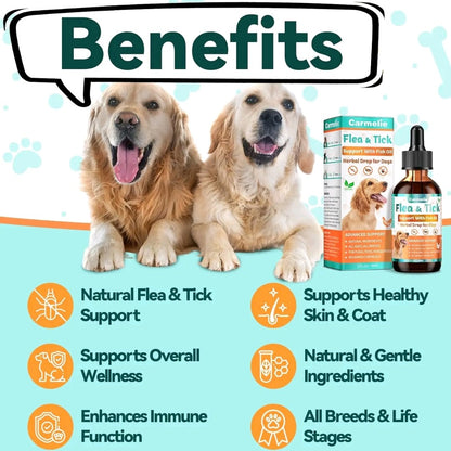 Carmelie Cat Herbal Drops – Outdoor Wellness Support with Fish Oil & Vitamins, Chicken-Flavored Liquid for All Ages