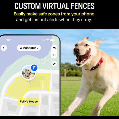 Fi Series 3 Smart pet Collar – GPS Tracker, Health Monitor & LED Light
