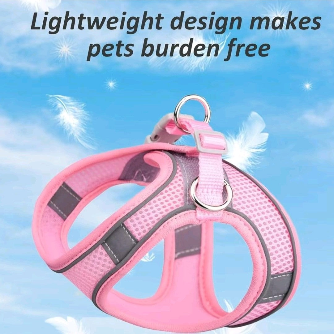 No-Pull Dog/Cat Harness & Leash Set – Step-In Mesh Harness for Small & Medium Dogs/Cat , Easy Control Puppy Vest
