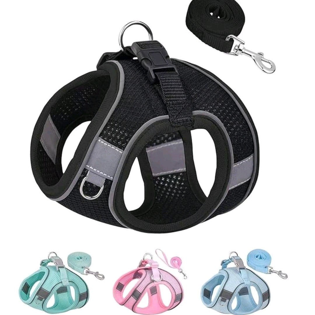 No-Pull Dog/Cat Harness & Leash Set – Step-In Mesh Harness for Small & Medium Dogs/Cat , Easy Control Puppy Vest