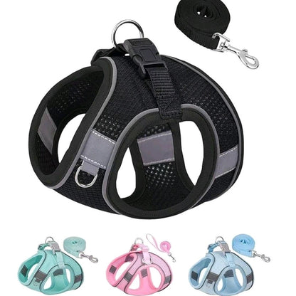 No-Pull Dog/Cat Harness & Leash Set – Step-In Mesh Harness for Small & Medium Dogs/Cat , Easy Control Puppy Vest