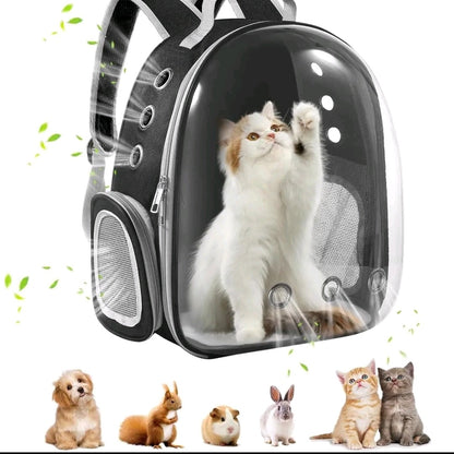 Cat Backpack Carrier – Airline Approved Pet Carrier for Cats & Small Dogs, Ventilated Travel Backpack for Hiking, Camping & Outdoor Adventures